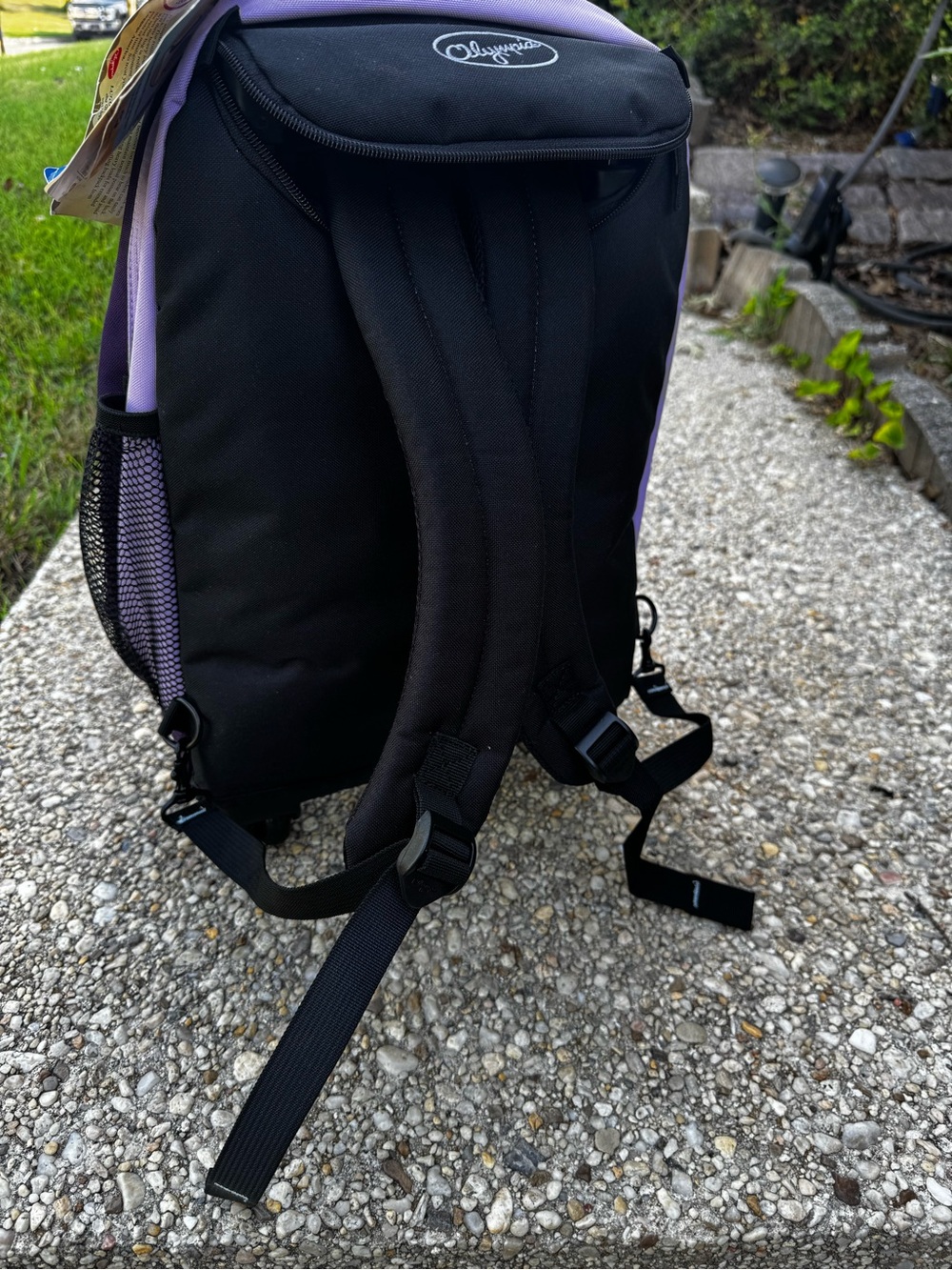 Casual Gear Purple Rolling Laptop Backpack with Dual-Tone Design - Picture 5 of 13